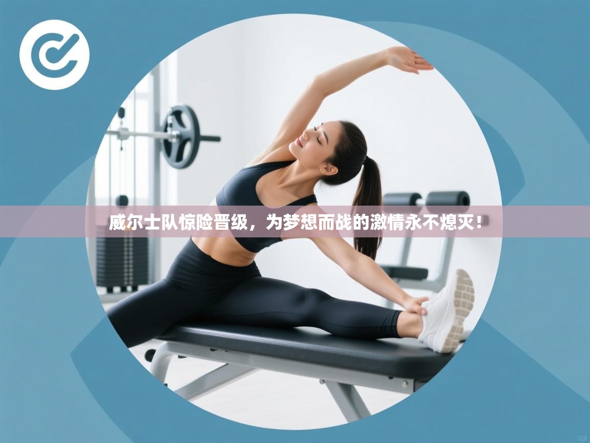 威尔士队惊险晋级,为梦想而战的激情永不熄灭! 第1张